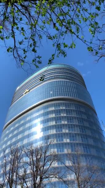 Russia, St.Petersburg, 2020 년 5 월 7 일 : National Medical Research Center VA Almazov, see through branch of trees with green leaves, blue sky on background, reflected of sun on glass of facade — 비디오