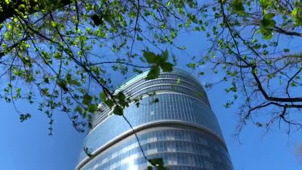 Rusland, Sint-Petersburg, 07 mei 2020: Nationaal Medisch Onderzoekscentrum VA Almazov, zicht door takken van bomen met groene bladeren, blauwe lucht op de achtergrond, reflecties van de zon op glas gevel — Stockvideo
