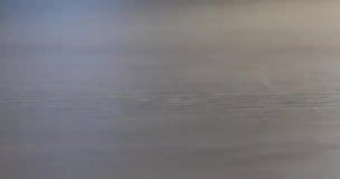 Masanın üzerindeki çeşitli renkli düğmelerin yavaş çekimleri. Plastikten yapılmış farklı renkli düğmeler. Dikiş malzemeleri, giysi aksesuarları, dikiş ipliği, dikiş düğmeleri, tekstil aksesuarları.