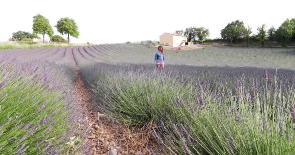 Vacker flicka promenader på fältet av lavendel i Frankrike, Valensole, Cote Dazur-Alps-Provence, rött hår, mager jacka, en hel del blommor, rader av blommor, perspektiv, träd och skjul på bakgrunden — Stockvideo
