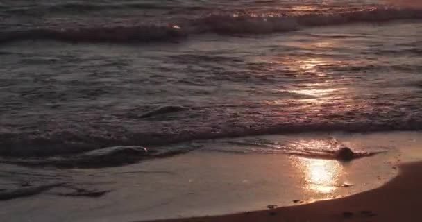 A costa arenosa com uma onda de maré no pôr do sol, pedras, areia, ondas, ninguém, uma paisagem, tranquilidade, o sol cai, salpicos, reflexões de sol na água — Vídeo de Stock