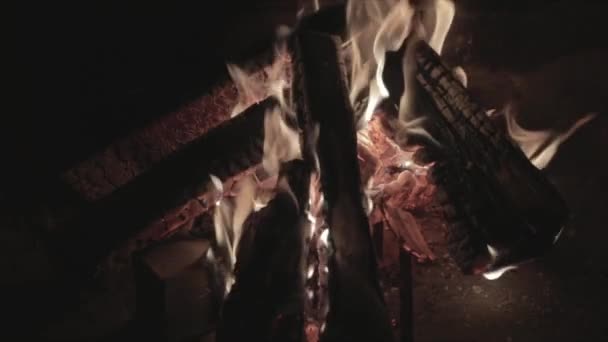 Het grote vuur met brandhout in een open haard, kampvuur branden, stenen muren van een open haard, brandhout lodge, vonken, vlammen van het vuur, is veel rode houten kolen, stoom en rook, close-up — Stockvideo