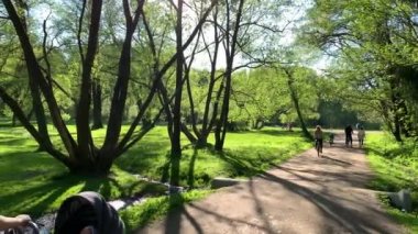 Rusya, St.Petersburg, 26 Mayıs 2020: İnsanlar parkta yürüyor, arabalı anneler, ormanda bahar, uzun ağaç gölgeleri, mavi gökyüzü, ağaçların tomurcukları, huş gövdeleri, güneşli bir gün, ormanda yol