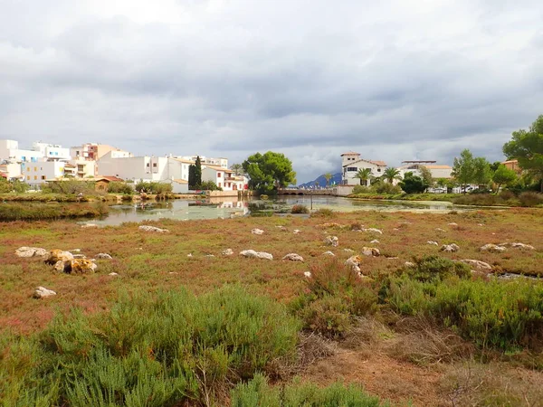 La Gola,  Puerto Pollensa, Mallorca — Foto de Stock