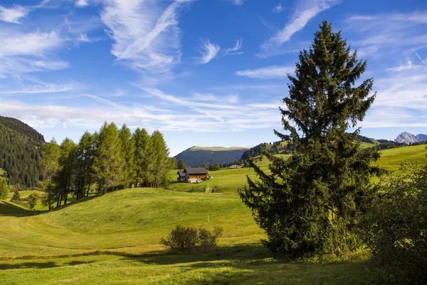 Der Seiser Alm — Stockfoto