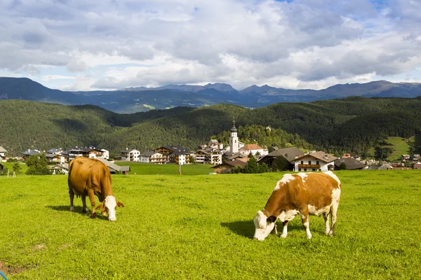 Pays de Kastelruth Images De Stock Libres De Droits