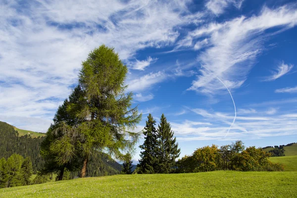 Der Seiser Alm — Stockfoto