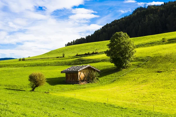 Alpské skladu — Stock fotografie