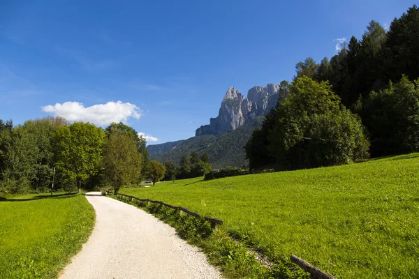 Pathway on Seiser Alm — Stock Photo, Image