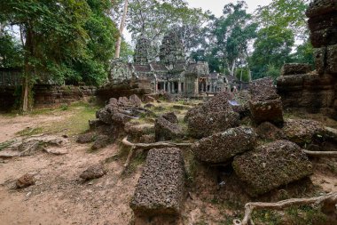 Ağaçlar tapınağın kalıntıları üzerine Ta Prohm, Angkor Wat kompleksi, Angkor Wat Arkeoloji Parkı Siem Reap, Kamboçya Unesco Dünya Mirası'tapınakta kaldırdı.
