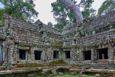 Ağaçlar tapınağın kalıntıları üzerine Ta Prohm, Angkor Wat kompleksi, Angkor Wat Arkeoloji Parkı Siem Reap, Kamboçya Unesco Dünya Mirası'tapınakta kaldırdı.