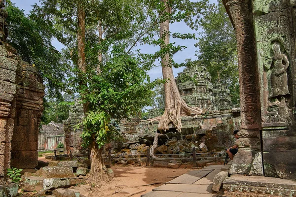 Arbres Élevés Sur Les Ruines Temple Prohm Temple Complexe Angkor — Photo