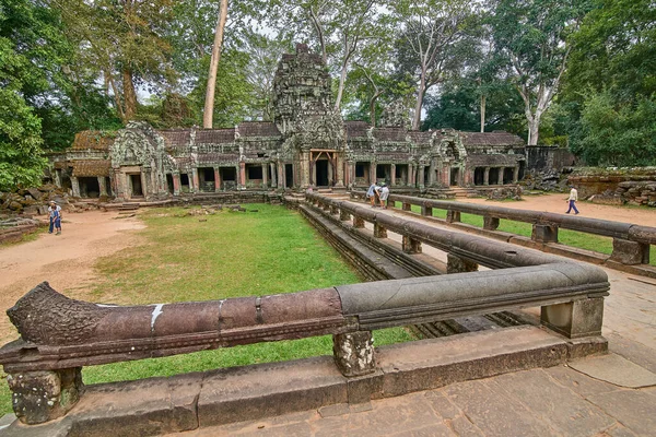 Siem Reap Cambodia December 2014 Trees Raised Ruins Temple Prohm — ストック写真