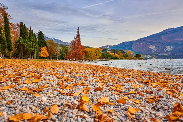 Mooie Kleurrijke Herfst Riva Del Garda Gardameer Omgeven Door Bergen — Stockfoto