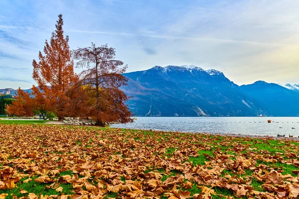 Piękna Kolorowa Jesień Riva Del Garda Jezioro Garda Otoczeniu Gór — Zdjęcie stockowe