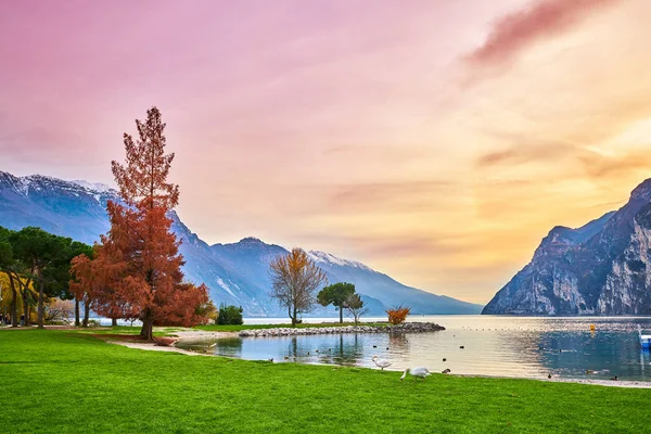 Hermoso y colorido otoño en Riva del Garda, surr lago de Garda —  Fotos de Stock