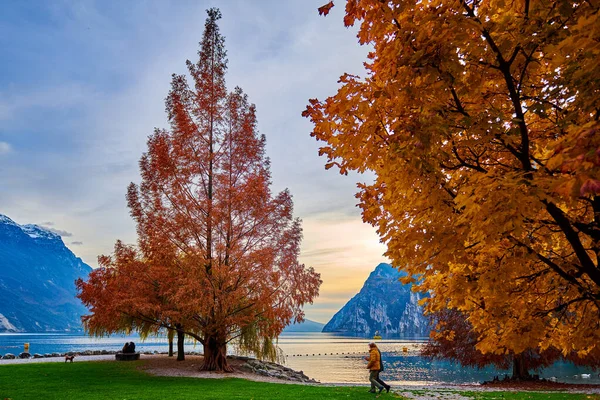 Vacker och färgstark höst i Riva del Garda, Gardasjön surr — Stockfoto