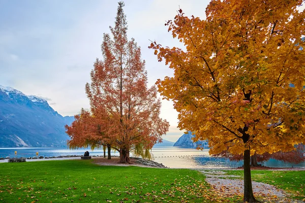 Piękna Kolorowa Jesień Riva Del Garda Jezioro Garda Otoczeniu Gór — Zdjęcie stockowe