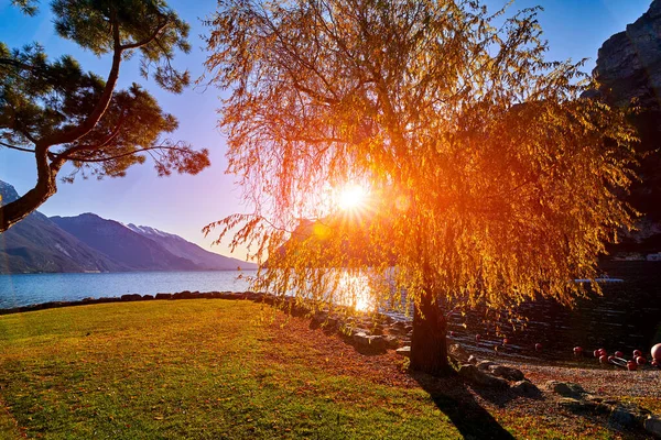 Outono Bonito Colorido Riva Del Garda Garda Lago Cercado Por — Fotografia de Stock