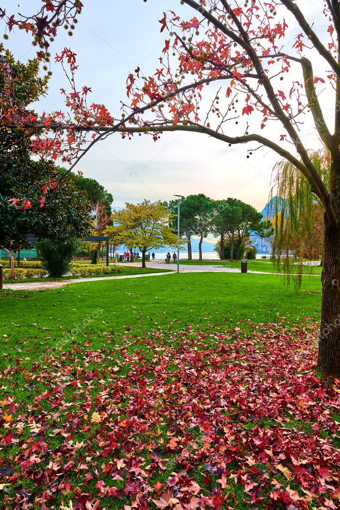 Beautiful and colorful autumn in Riva del Garda, Garda lake surr