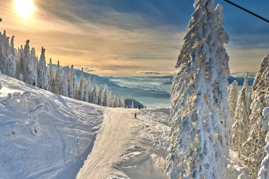Kayak pisti, Kayak Merkezi Transylvania'da, çam ormanı kaplı kar kış sezonu, dağ manzarası kışın, Poiana Brasov, Romanya üzerinden panoramik görünüm