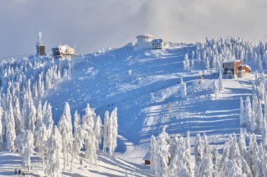 Kış sezon, dağ manzarası Poiana Brasov, Transilvanya, Romanya karla kaplı çam ormanı