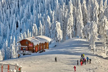 Poiana Brasov, Romanya -16 Ocak 2019: kayakçı ve snowboard düşkünleri zevk karla kaplı kış sezonu, Romanya, Avrupa kayak yamaçlarına whit orman