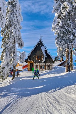 Poiana Brasov, Romanya -16 Ocak 2019: ahşap chalets ve Karpatlar, Poiana Brasov kayak merkezi, Transilvanya, Romanya, Avrupa, içinde muhteşem Kayak pistleri üzerinde kış sezonu karla kaplı orman çam