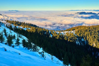 Ceahlu Dağları 'ndan hava manzarası, Ulusal Park' ta kış mevsiminde sis, Ceahlau Dağları 'nda gün doğumu.