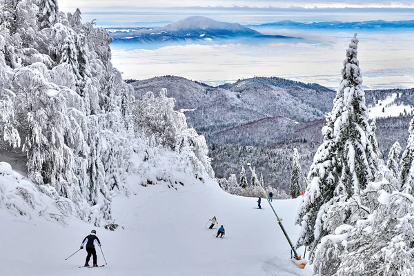 Kayakçı Snowboard Düşkünleri Tadını Kayak Yamaçlarına Poiana Brasov Kış Resort — Stok fotoğraf