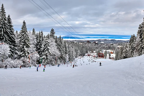 ポイアナ ブラショフ ルーマニア 2019 Skiers とスノーボーダーはスキーを楽しむ冬に雪に覆われたポイアナ ブラショフ冬リゾートの聖霊降臨祭の森の斜面 — ストック写真