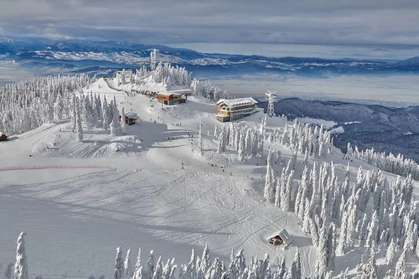 Panoramic View Ski Slope Poiana Brasov Ski Resort Transylvania Pine — Stock Photo, Image