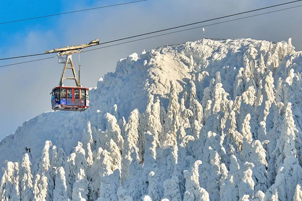 Cable Car Skiers Poiana Brasov Ski Resort Ski Slopes Whit — Stock Photo, Image