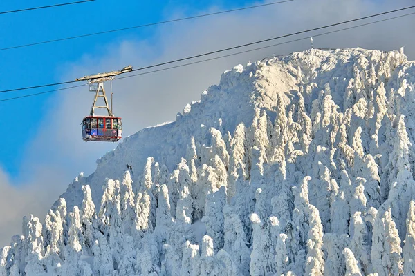 Cable Car Skiers Ski Resort Ski Slopes Whit Forest Covered — Stock Photo, Image