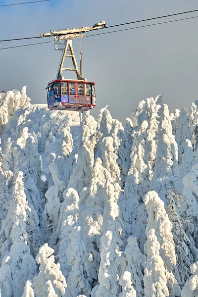 Kabelbil Med Skiløpere Poiana Brasov Skianlegg Skibakker Snødekte Områder Vinteren – stockfoto