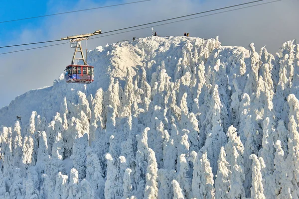 Teleférico Con Esquiadores Una Estación Esquí Pistas Esquí Con Bosque —  Fotos de Stock