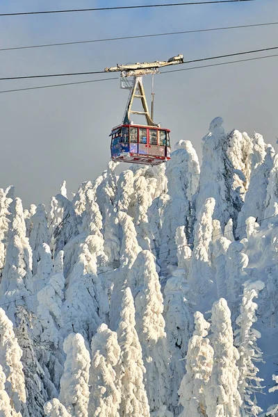 Teleferik Ile Kayakçılar Bir Ski Resort Kış Sezonu Karla Kaplı — Stok fotoğraf