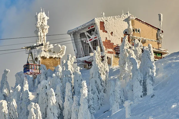 Kabelbil Med Skiløpere Skisted Skibakker Dekket Snø Vinteren Poiana Brasov – stockfoto