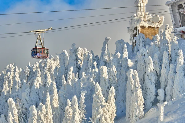 Cable Car Skiers Ski Resort Ski Slopes Whit Forest Covered — Stock Photo, Image