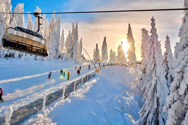 Poiana Brasov Romania January 2019 Skiers Snowboarders Enjoy Ski Slopes — стоковое фото