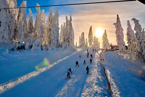 Poiana Brasov Romania January 2019 Skiers Snowboarders Enjoy Ski Slopes — стоковое фото