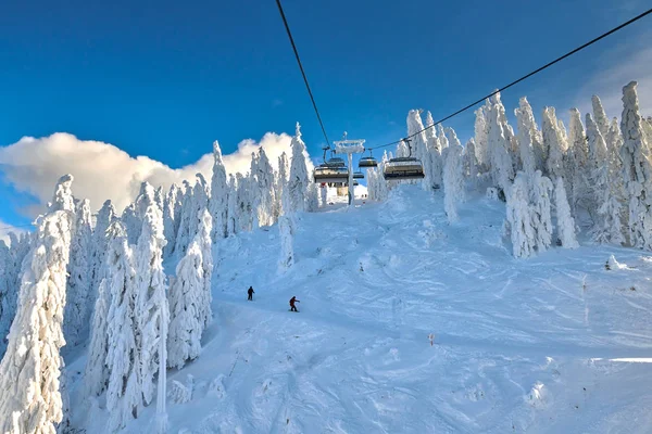 Chair lift in Poiana Brasov ski resort, Skiers and snowboarders enjoy the ski slopes in Poiana Brasov winter resort whit forest covered in snow on winter season