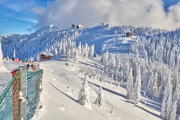 View Spectacular Ski Slopes Carpathians Mountains Panoramic View Ski Slope — стоковое фото