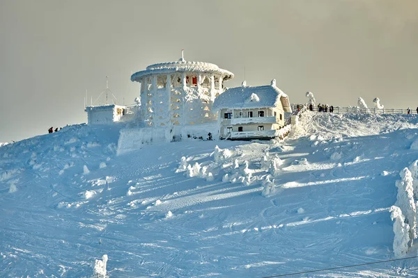 Vue Sur Les Pistes Ski Spectaculaires Des Carpates Vue Panoramique — Photo