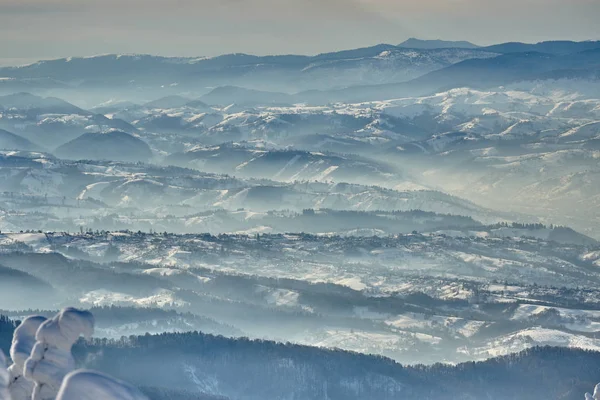 파노라마 전망을 슬로프 겨울에는 루마니아 풍경에서 소나무 숲에서에서 리조트 — 스톡 사진