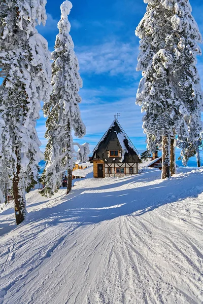 Wooden chalets and spectacular ski slopes in the Carpathians,Poi — Stock Photo, Image