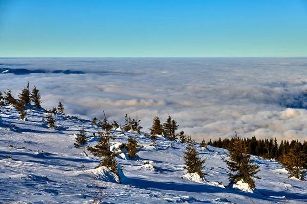 Niesamowity Widok Góry Ceahlau Witn Morze Chmur Sezonie Zimowym Krajobraz — Zdjęcie stockowe