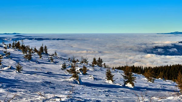 Csodálatos Táj Kilátás Ceahlau Hegység Tanúja Tenger Felhők Téli Szezonban — Stock Fotó