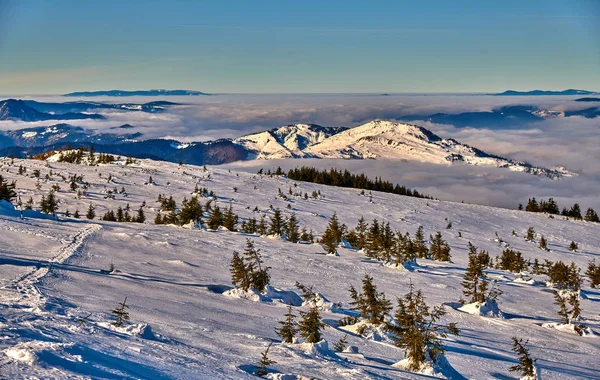 Ceahlau Dağları Ndan Inanılmaz Manzara Kış Mevsiminde Bulutlar Denizi Ceahlau — Stok fotoğraf