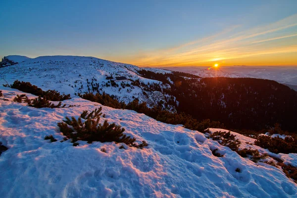 Вид Высоты Птичьего Полета Национального Парка Чаалу Закате Зимний Сезон — стоковое фото